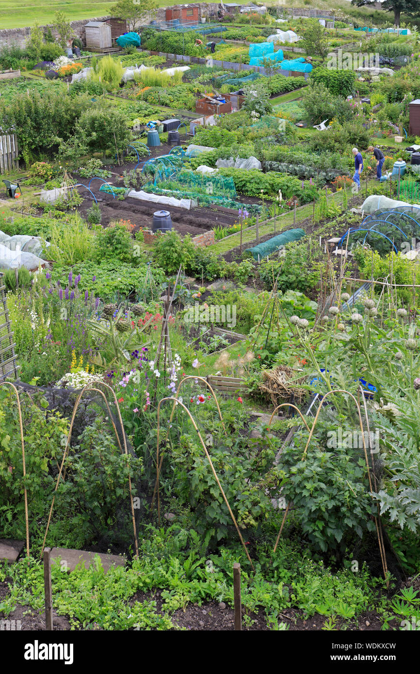 Dans Carnforth, Northumberland, England, UK. Banque D'Images