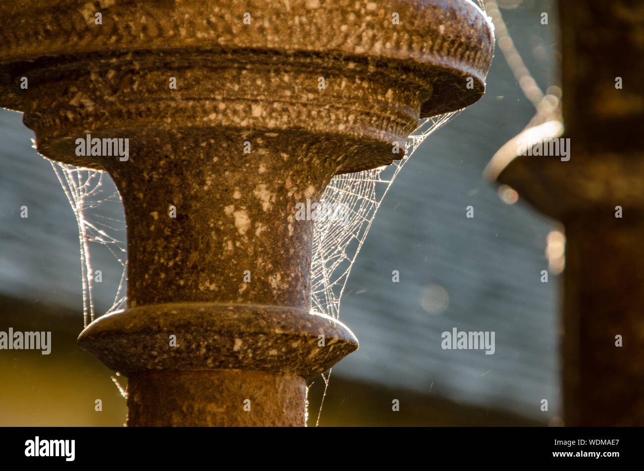 Détail de colonnes avec Spider web au Mont Saint Michel. Banque D'Images