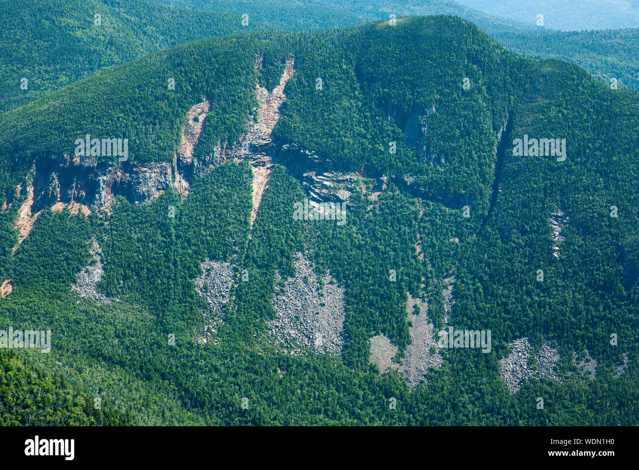 Encoche Carrigain - Mont Lowell de crête du signal dans les Montagnes Blanches du New Hampshire pendant les mois d'été. Banque D'Images