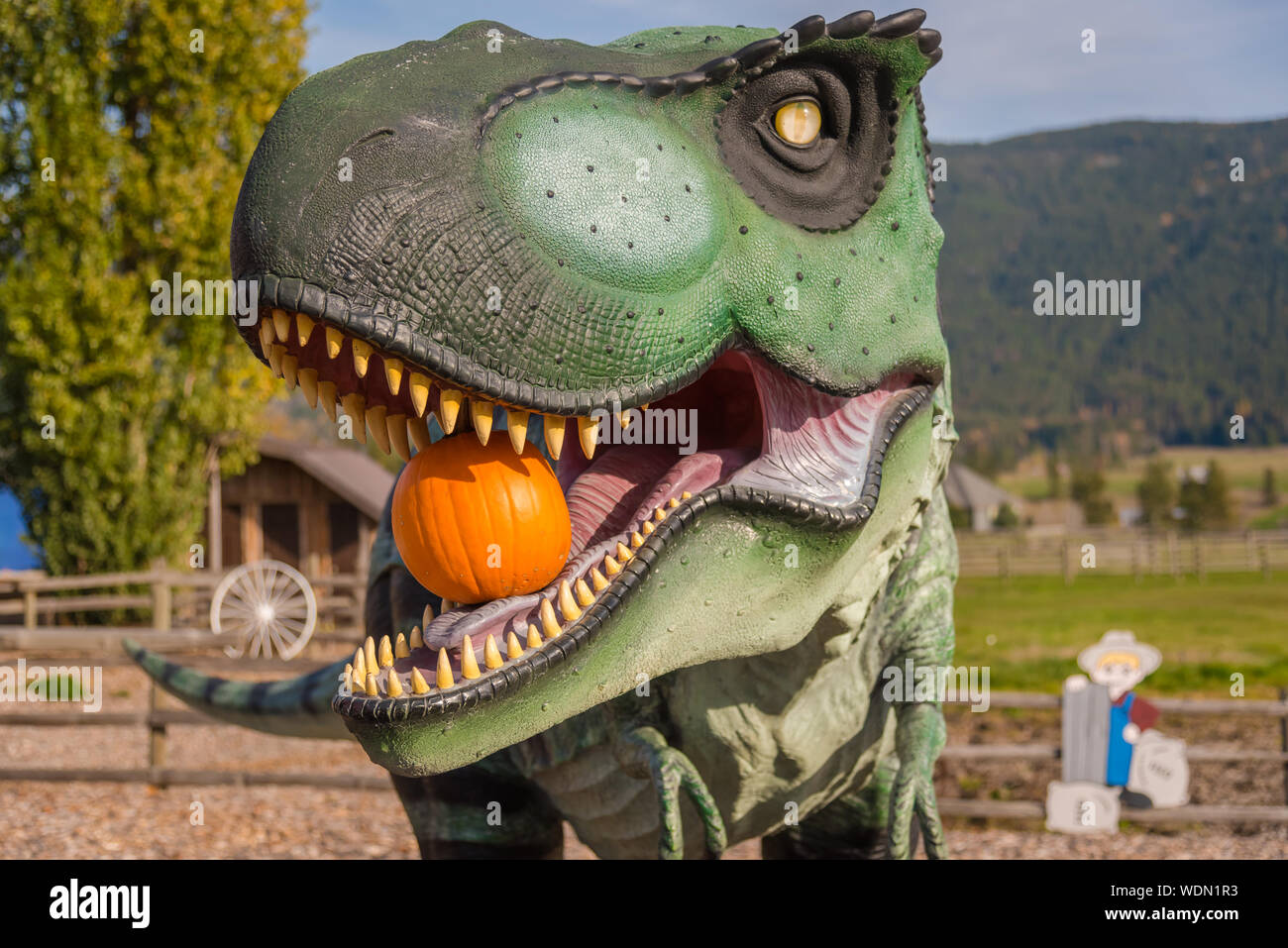 Armstrong, Colombie-Britannique / Canada - 23 octobre 2016 : Tyrannosaurus Rex statue holding citrouille à son embouchure dans l'Étable Journal store et zoo pour enfants. Banque D'Images