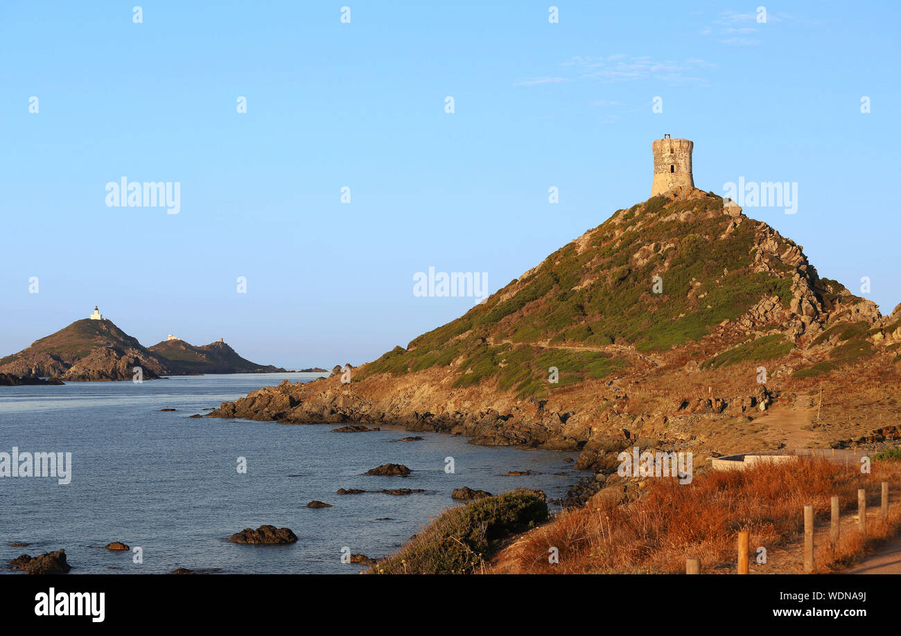 Vue de la nature des îles Sanguinaires, petit archipel près d'Ajaccio, Corse, France. Banque D'Images