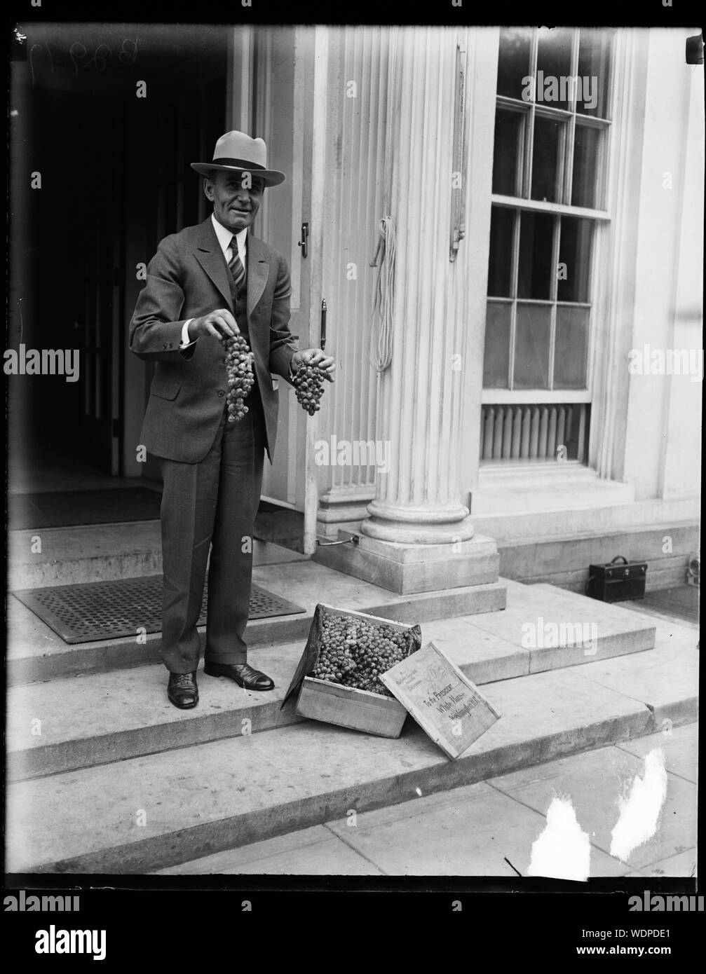 Les raisins pour le président. Maison Blanche, Washington, D.C. Résumé/moyenne : 1 négative : 4 x 5 in. ou moins Banque D'Images