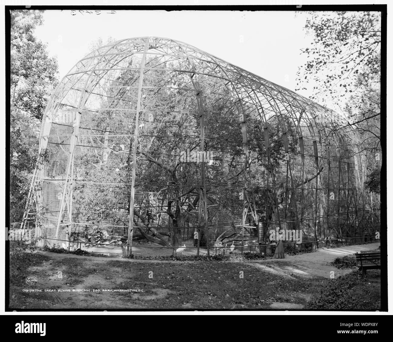 Grande cage à oiseaux volants, zoo park, Washington, D.C. Grand flying The Birdcage, zoo park, Washington, D.C. Banque D'Images