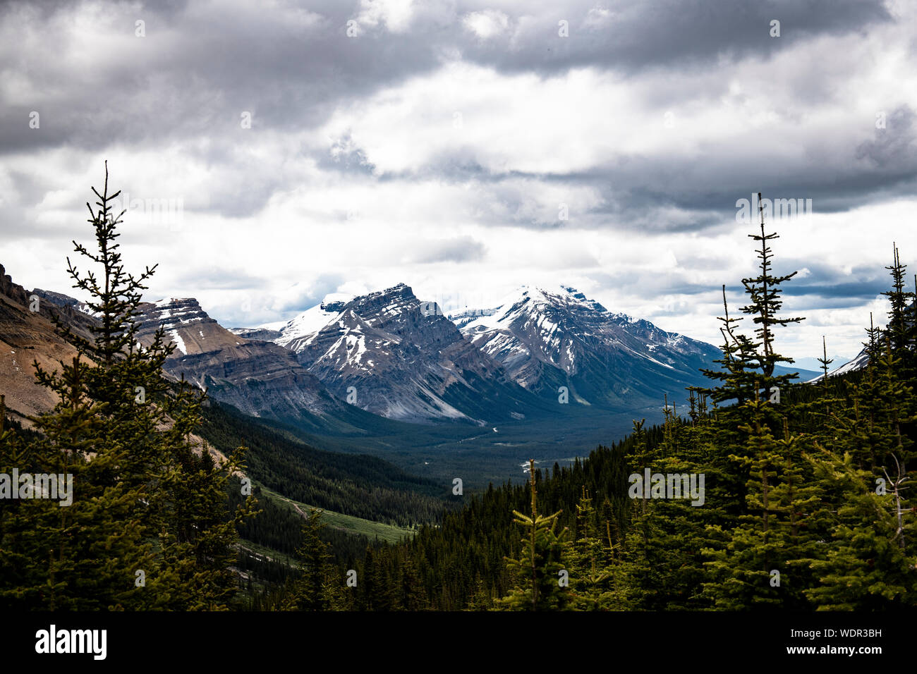 Magnifique vue panoramique lors de votre randonnée sur le sentier d'Helen, dans le parc national de Banff, Alberta Banque D'Images
