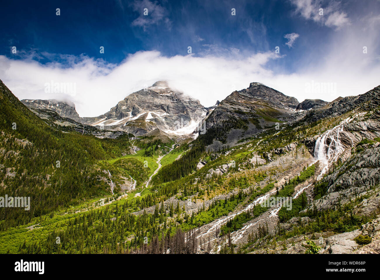 Vue panoramique lors de votre randonnée sur le Grand Glacier, dans le parc national des Glaciers, en Colombie-Britannique Banque D'Images