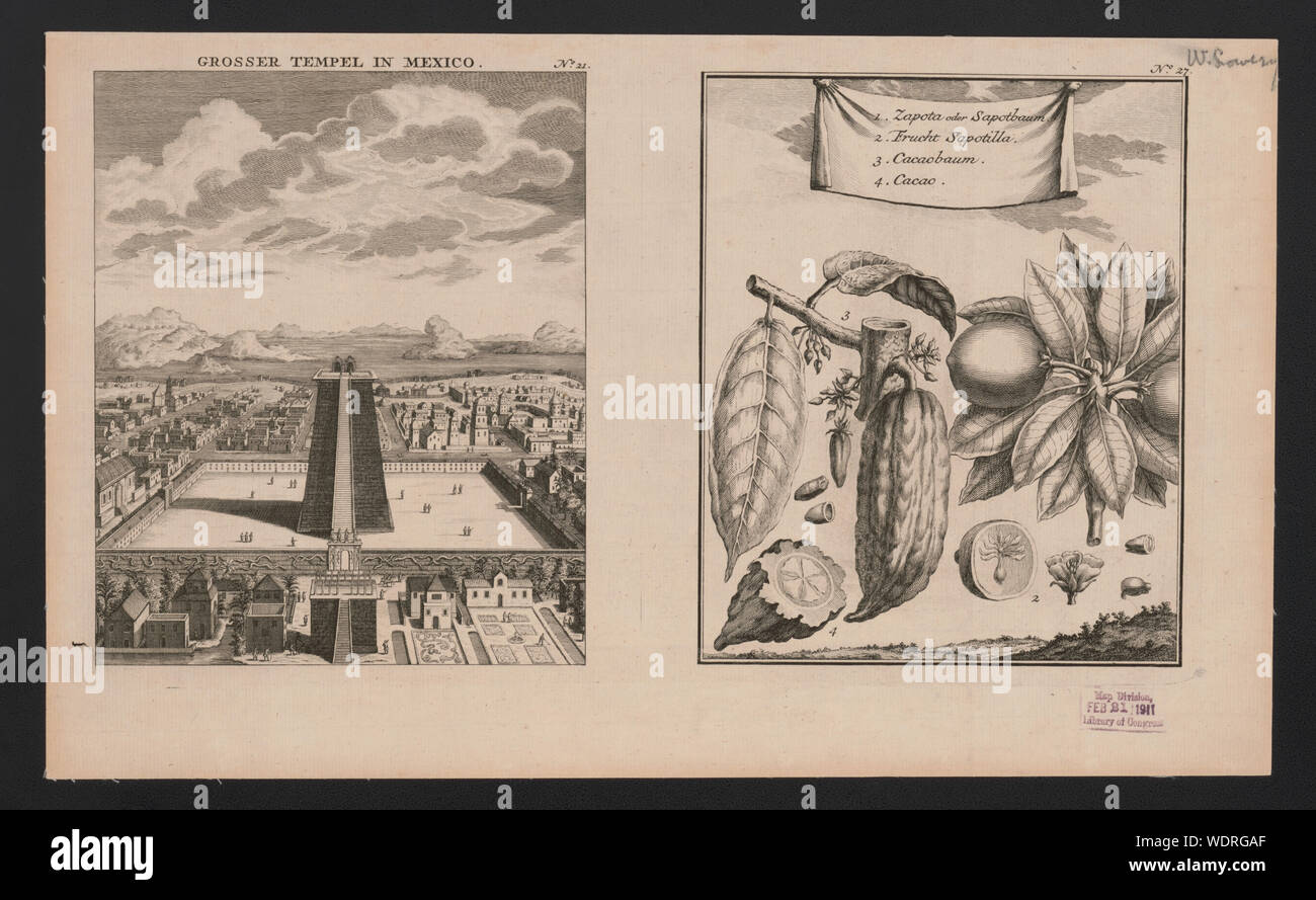 Grosser tempel au Mexique Zapota oder sapotbaum. Abstract/moyenne : 2 imprime sur 1 Fiche technique : gravure sur feuille papier vergé 23,8 x 39,4 cm. Banque D'Images