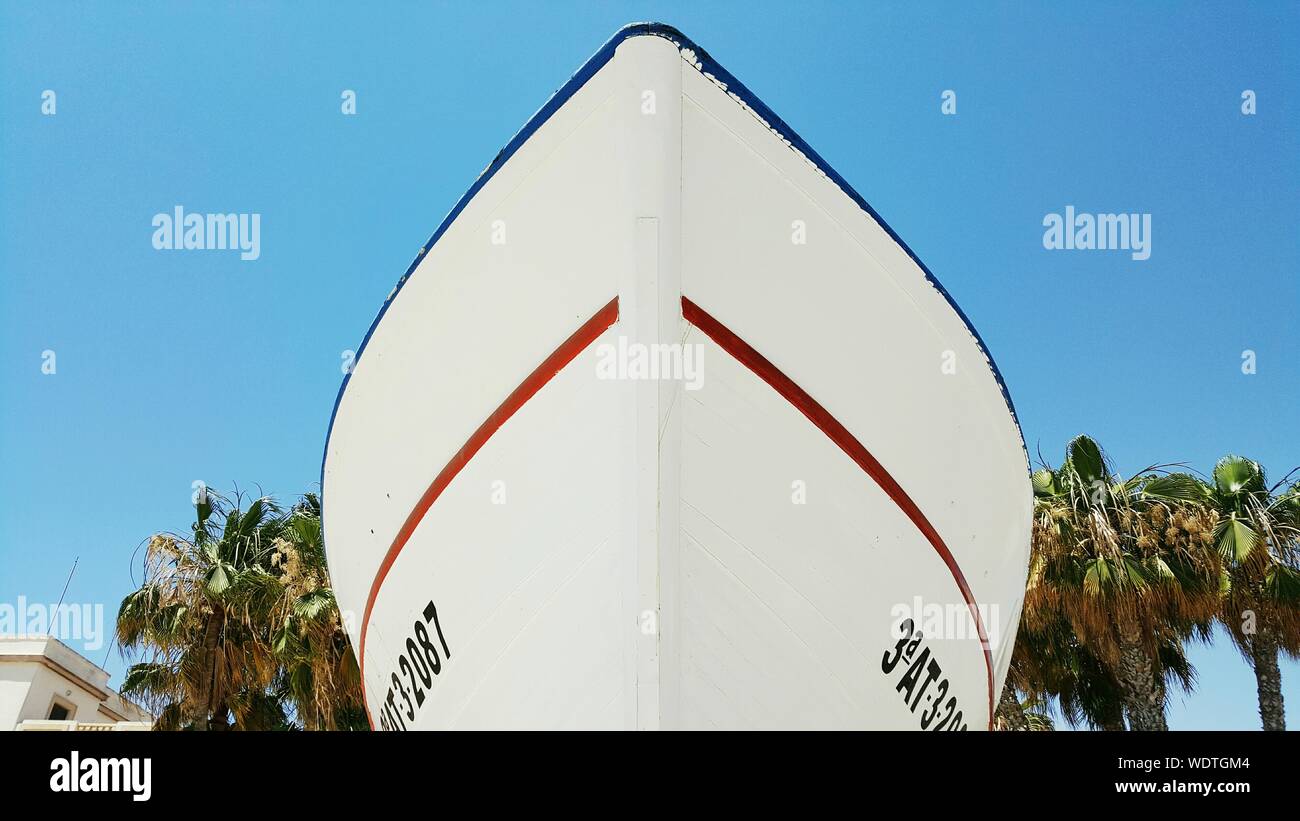 Low Angle View of bateau blanc de Palmiers contre Ciel clair Banque D'Images