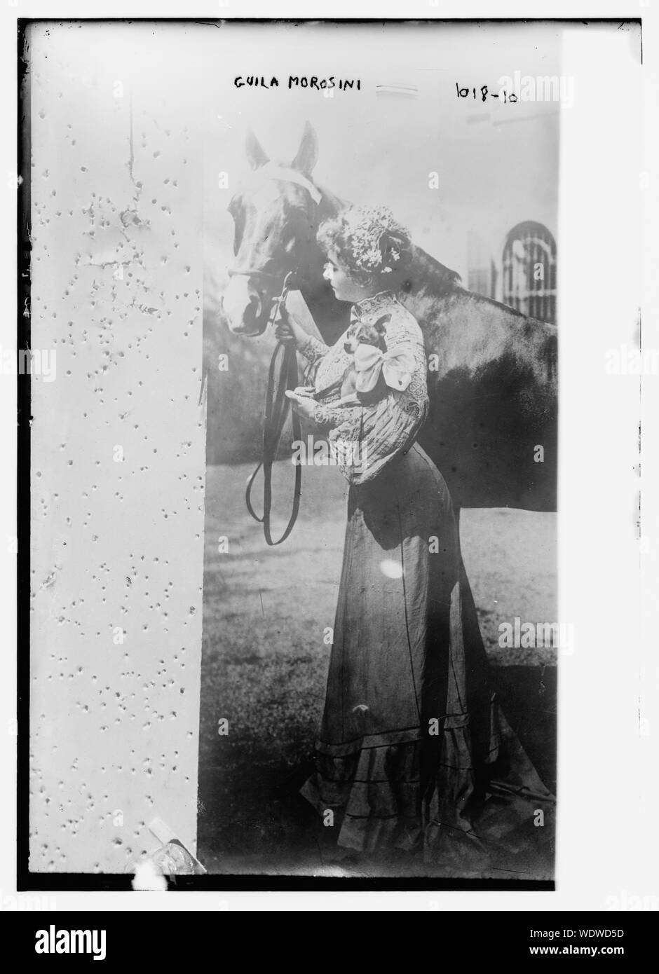 Guila Morosini avec l'Abstract/moyenne : 1 négative : 5 x 7 in. ou moins. Banque D'Images