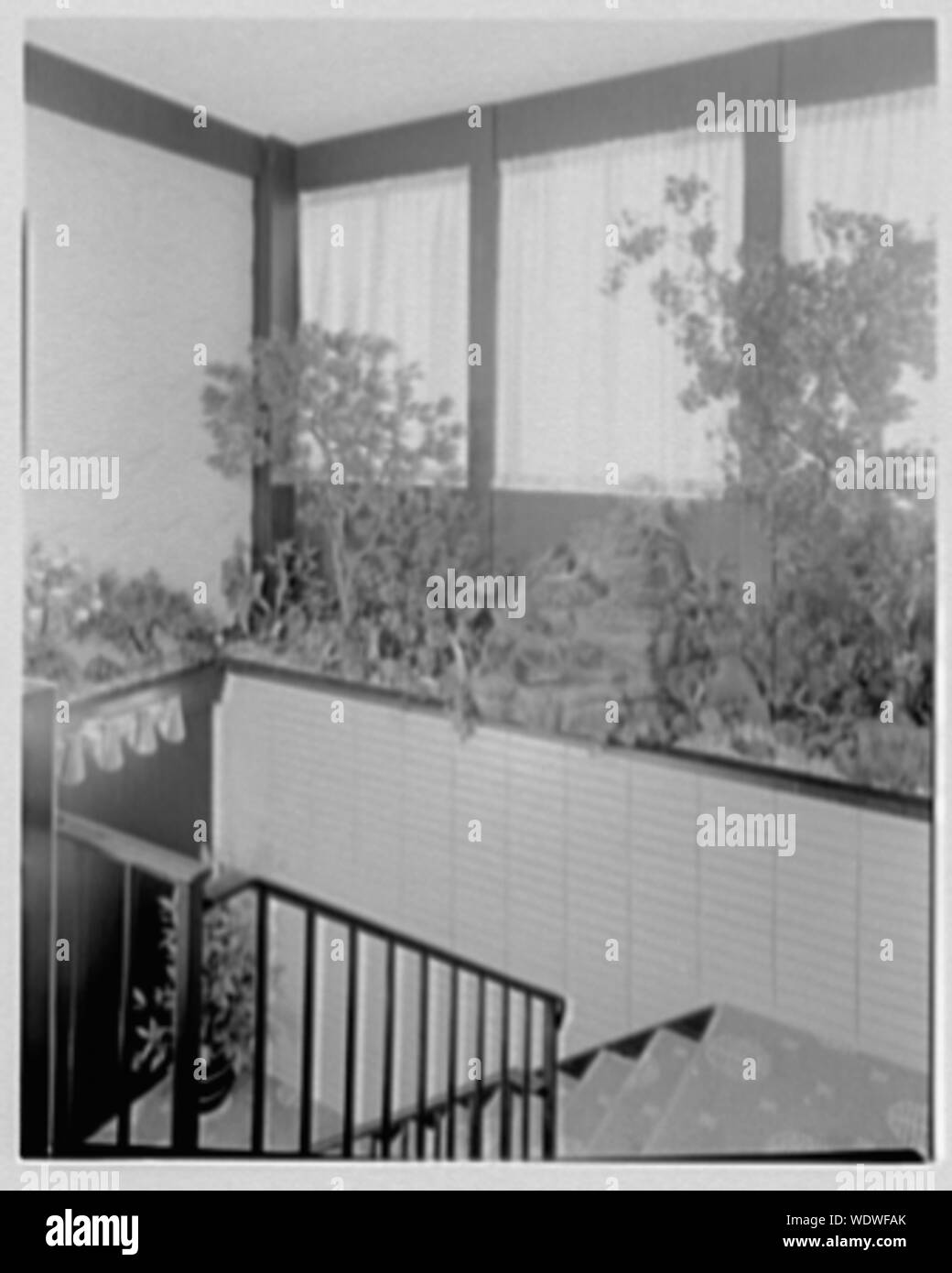 Gum Wah, Old Country Rd., Westbury, Long Island. Abstract/medium : Gottscho-Schleisner Collection Banque D'Images