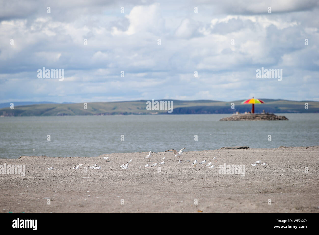 Hailar. Août 28, 2019. Photo prise le 28 août 2019 présente le décor du lac Hulun Buir Hulun en Chine du nord, région autonome de Mongolie intérieure du. Situé dans l'arrière-pays de la prairie Hulun Buir, lac Hulun est le quatrième plus grand lac d'eau douce de Chine. Au cours des dernières années, le lac Hulun a fait de grands progrès dans la restauration des zones humides et l'amélioration de la biodiversité. Crédit : Li Jing/Xinhua/Alamy Live News Banque D'Images