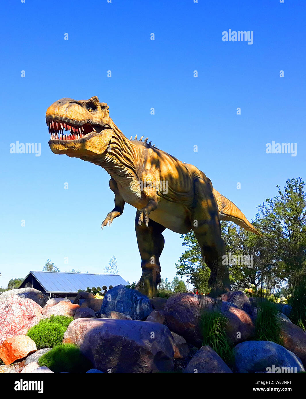 Tyrannosaurus rex dinosaur reptile t prédateurs sauvages Jurassic park prêt à l'attaque Banque D'Images