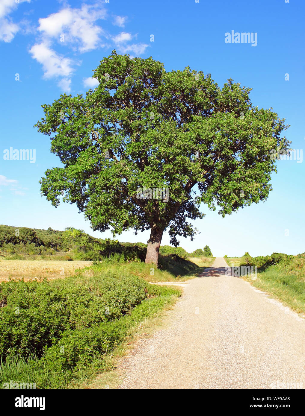 SONY DSC Banque D'Images