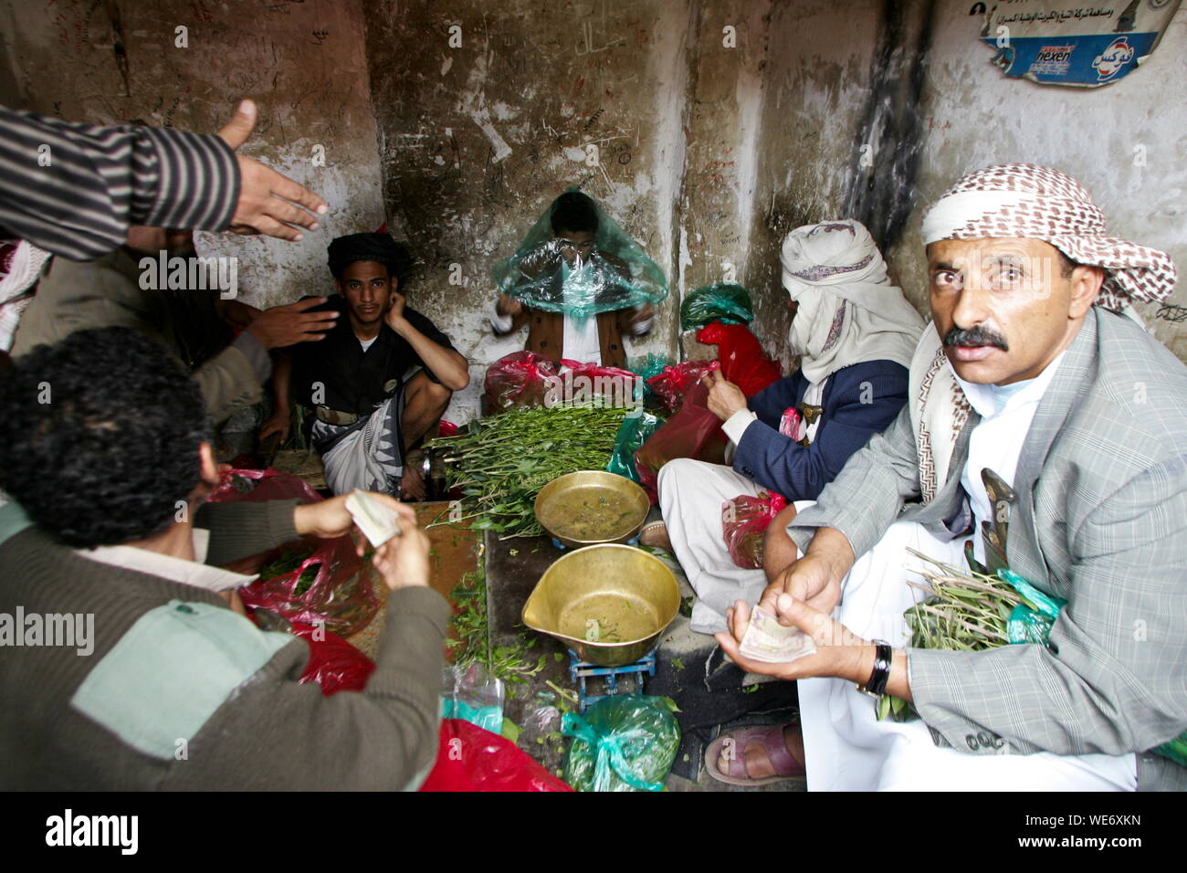 Le khat au Yémen Banque D'Images