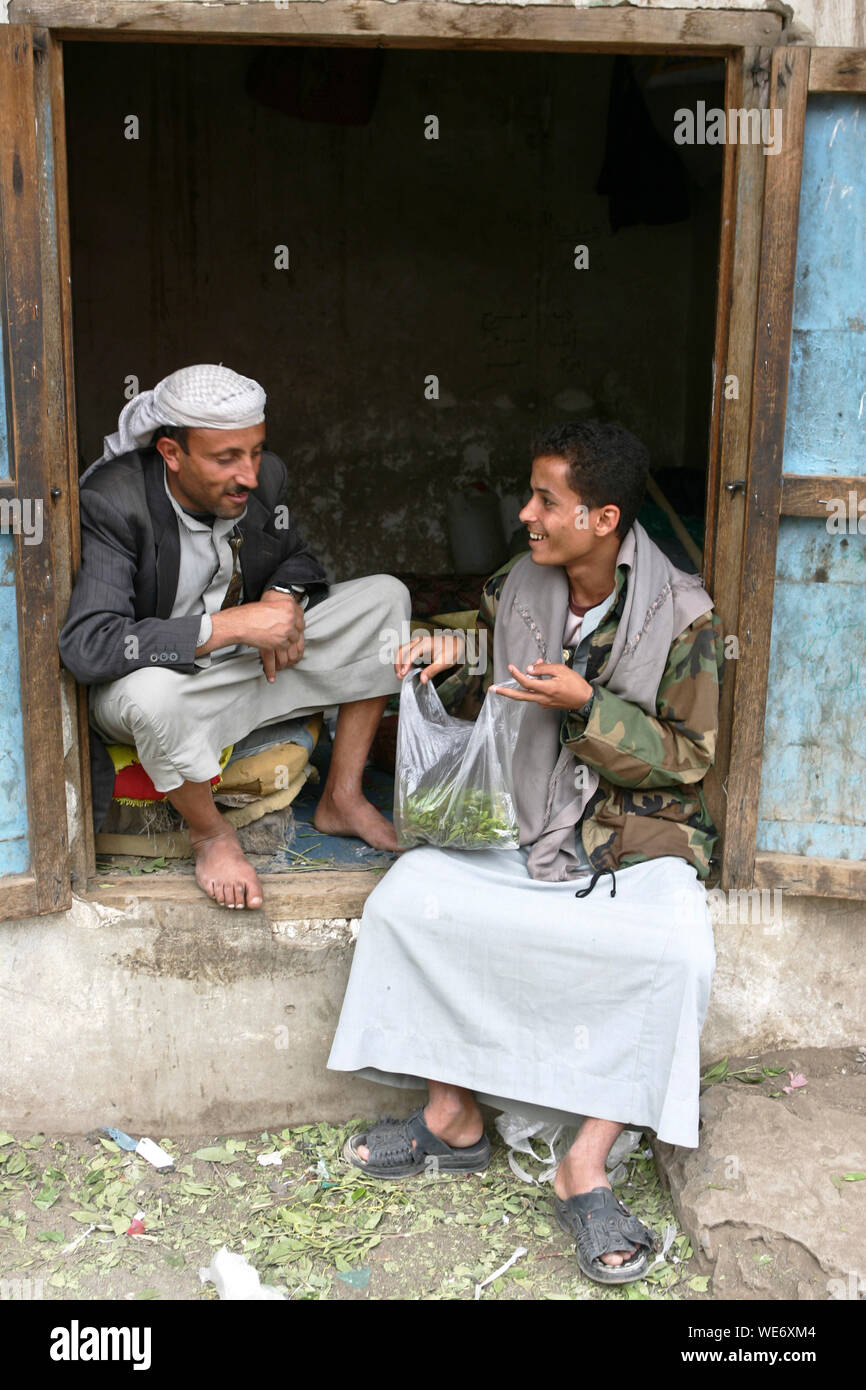 Le khat au Yémen Banque D'Images