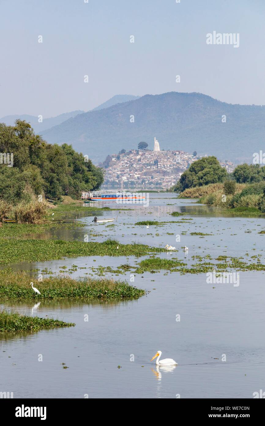 Le Mexique, l'état de Michoacan, Patzcuaro, pélicans blancs sur l'île de Janitzio et lac Patzcuaro Banque D'Images