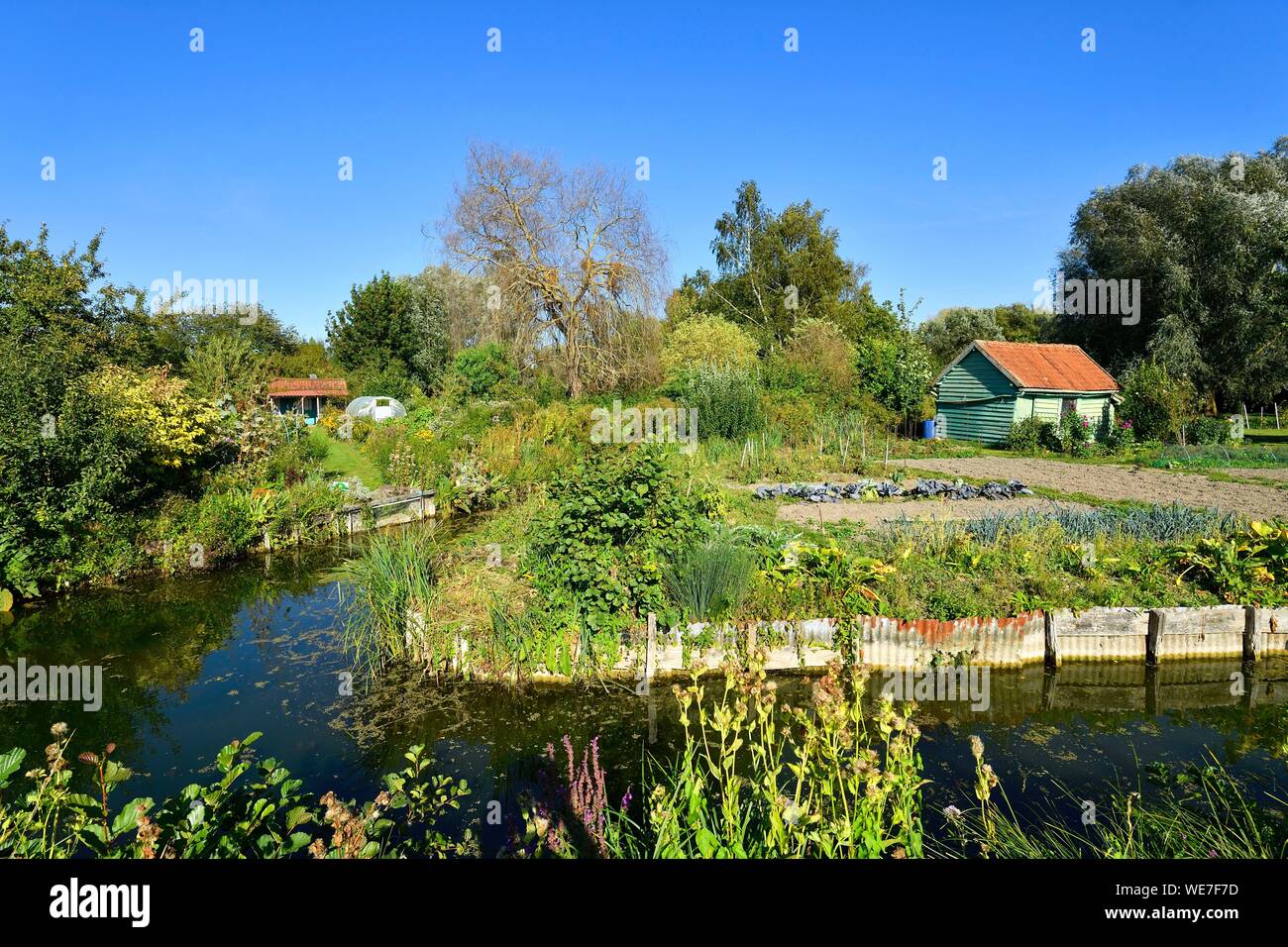 France, Picardie, Amiens, les hortillonnages sont d'anciens marais rempli afin de créer une mosaïque de jardins flottants entourés par des canaux Banque D'Images