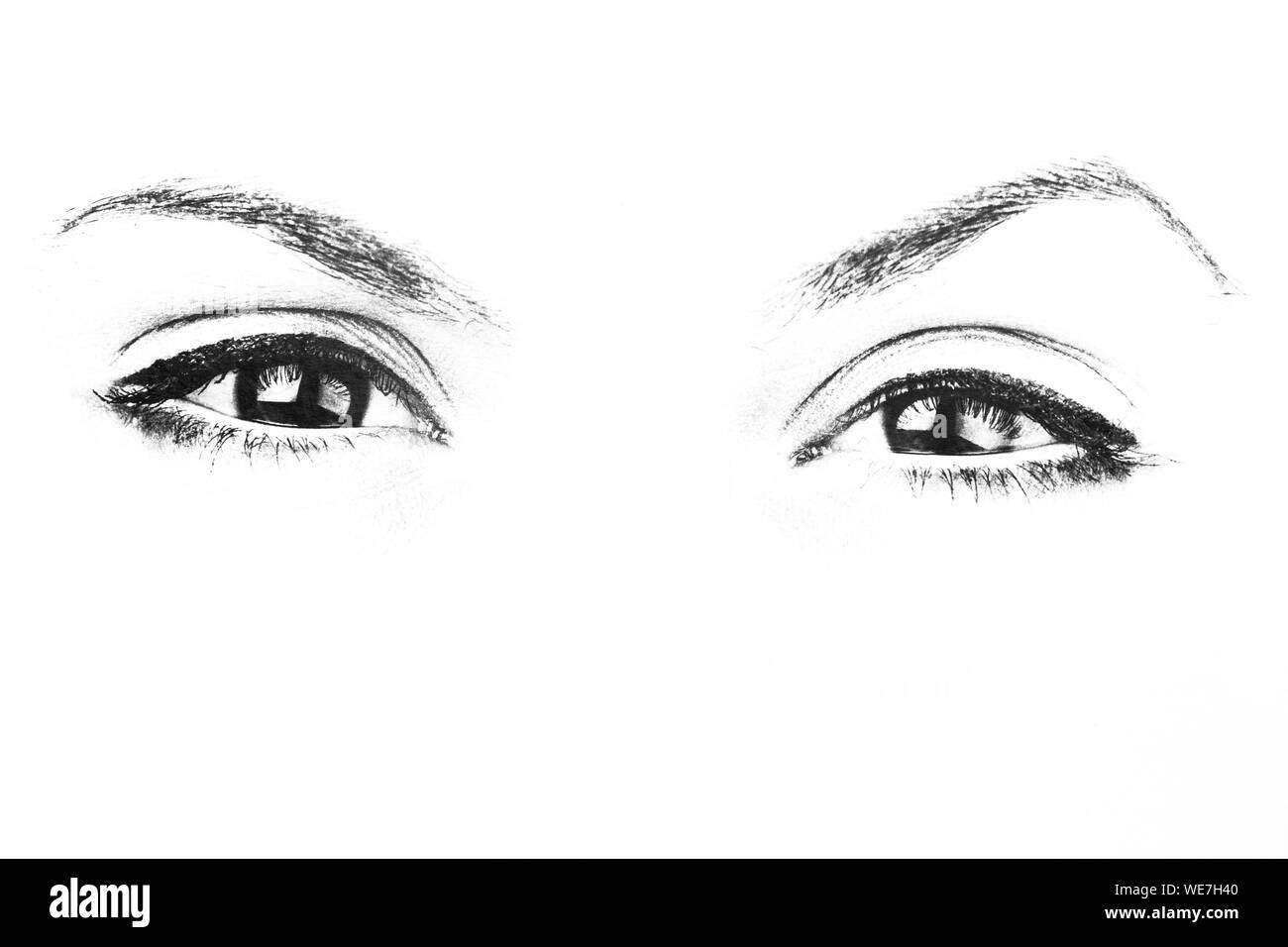 Les yeux à l'avant Banque D'Images