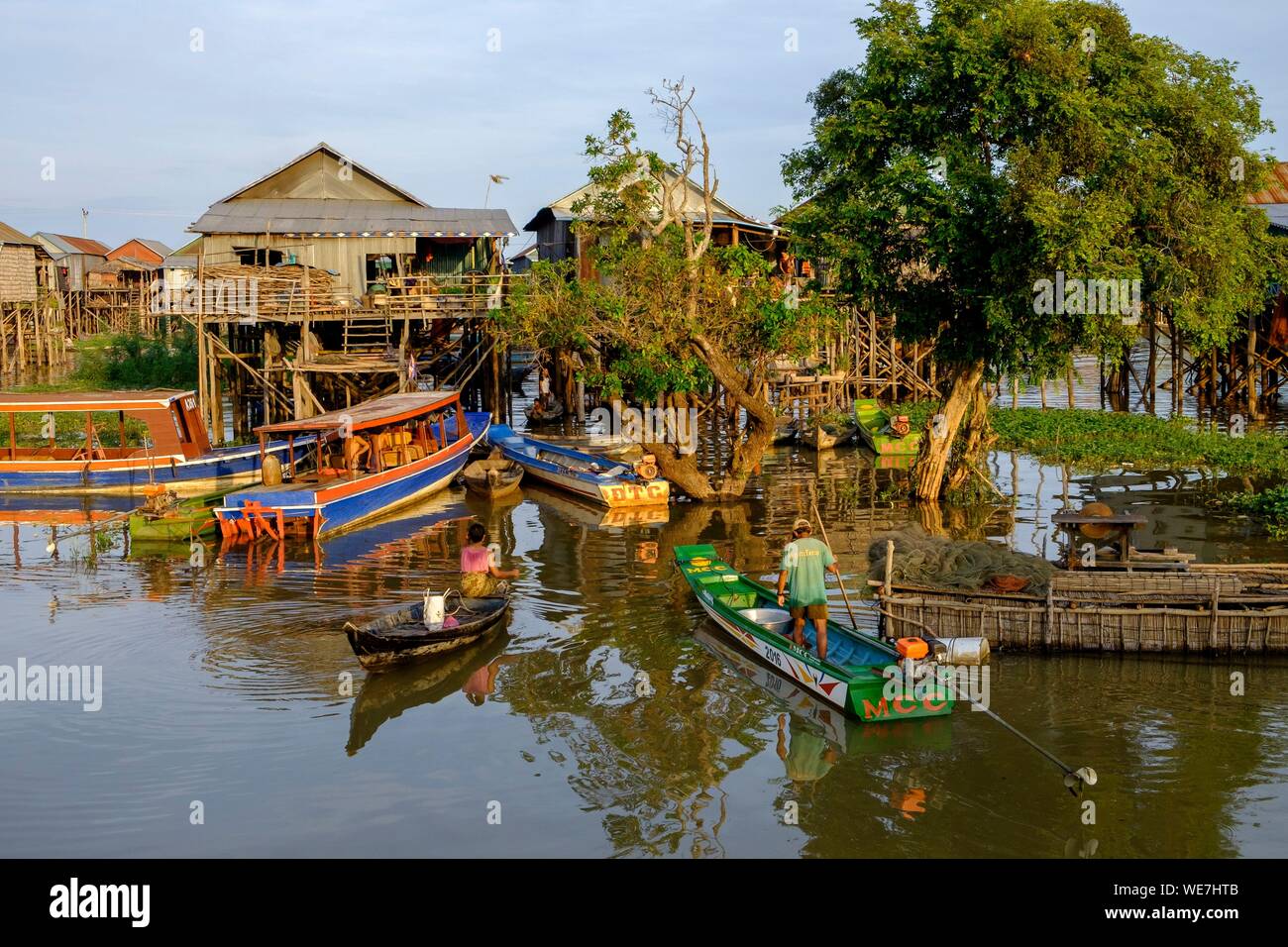 Le Cambodge, Kompong Phluc Phluc ou Kampong, près de Siem Reap, maison sur pilotis village, forêt inondée sur les rives du lac Tonlé Sap Banque D'Images
