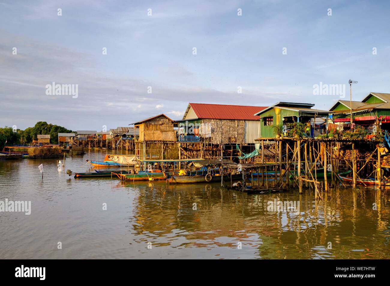 Le Cambodge, Kompong Phluc Phluc ou Kampong, près de Siem Reap, maison sur pilotis village, forêt inondée sur les rives du lac Tonlé Sap Banque D'Images