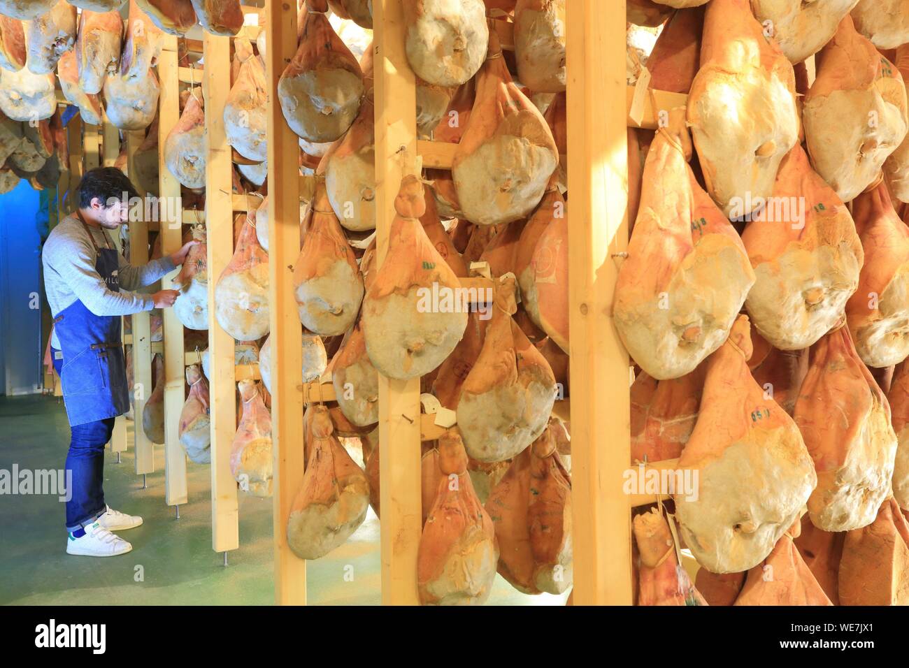 La France, Tarn, Murat sur Vebre, charcuterie Millas, Maître Affineur dans son pays jambons secs cheveux Banque D'Images