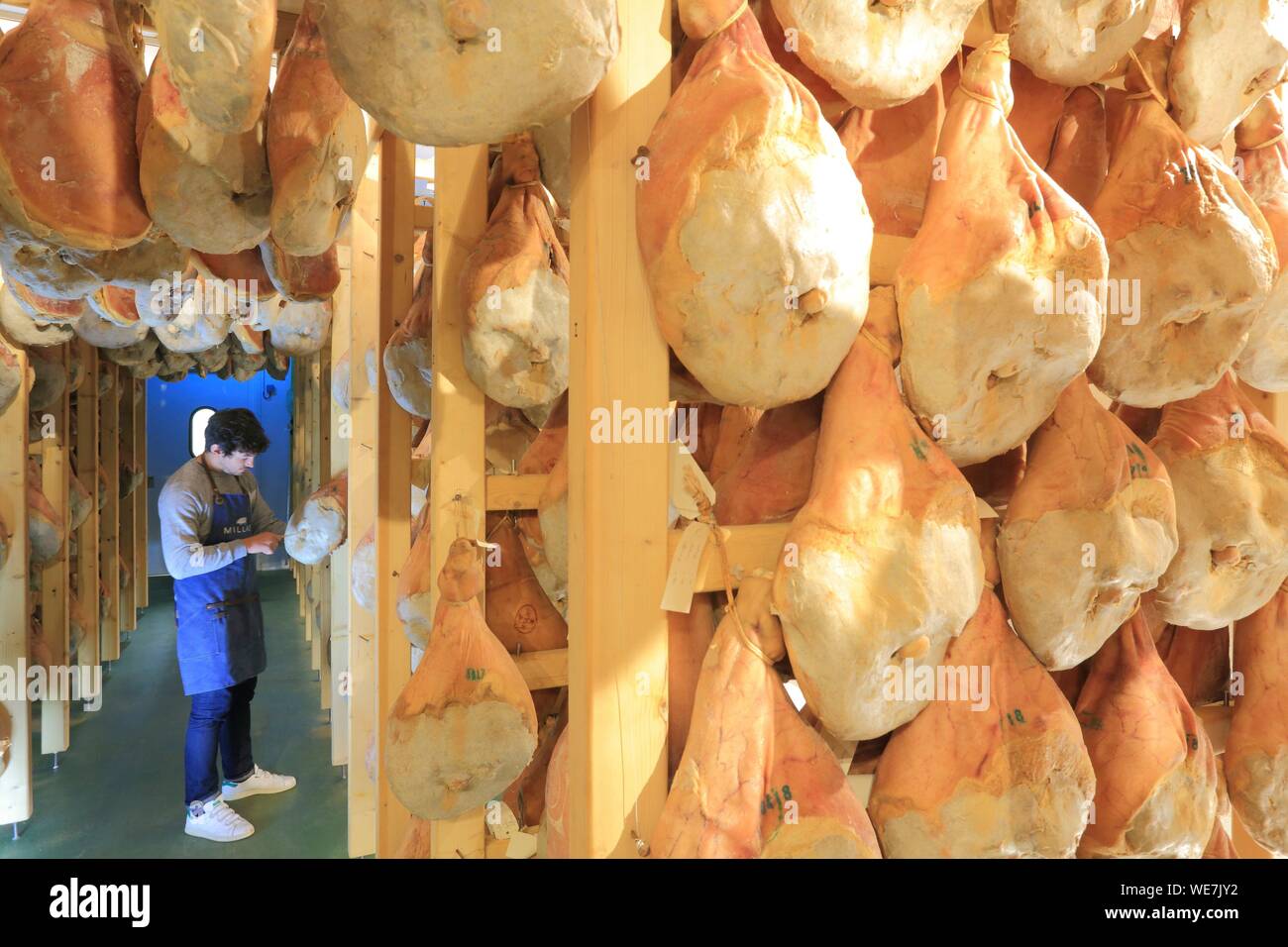 La France, Tarn, Murat sur Vebre, charcuterie Millas, Maître Affineur dans son pays jambons secs cheveux Banque D'Images