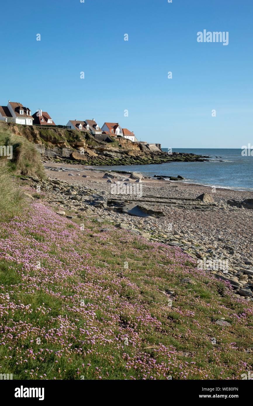 La France, Pas de Calais, Audresselles, la plage de la pointe du nid de Corbet Banque D'Images