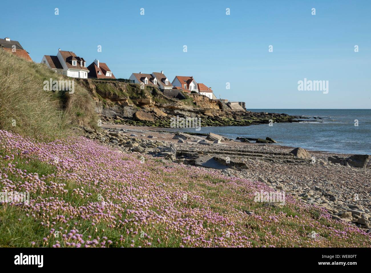 La France, Pas de Calais, Audresselles, la plage de la pointe du nid de Corbet Banque D'Images