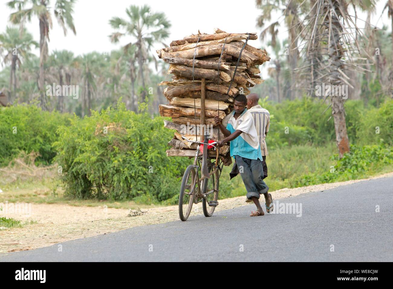 Le Burundi, réserve naturelle de Rusizi, collecte de bois Banque D'Images