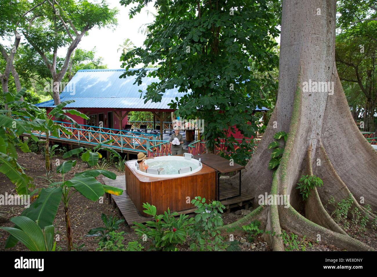La Colombie, l'île de Providencia, Suroeste beach, spa dans le jardin de l'arbre de coton Banque D'Images