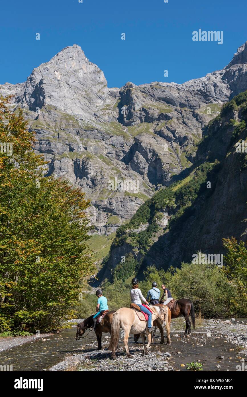 Cheval Fiscal Haute Savoie