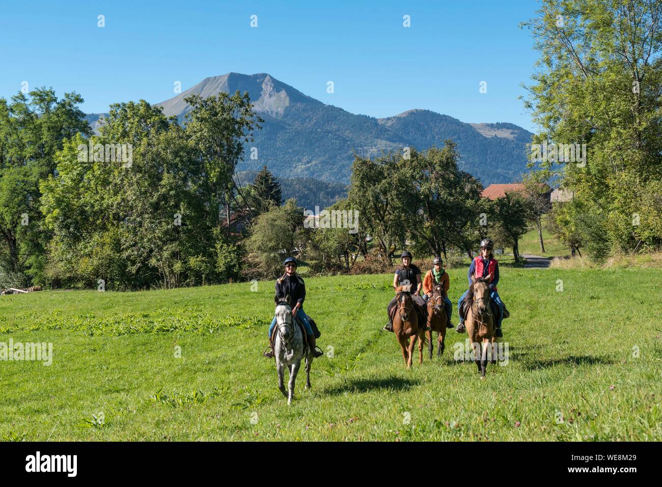 France, Haute Savoie, Mieussy, équitation le long du Giffre de Sommand, dans les pâturages et la Mole mountain (1863m) Banque D'Images