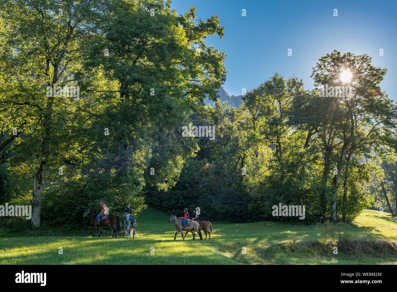 France, Haute Savoie, Mieussy, équitation le long du Giffre de Sommand, dans les prés de Jourdy Banque D'Images