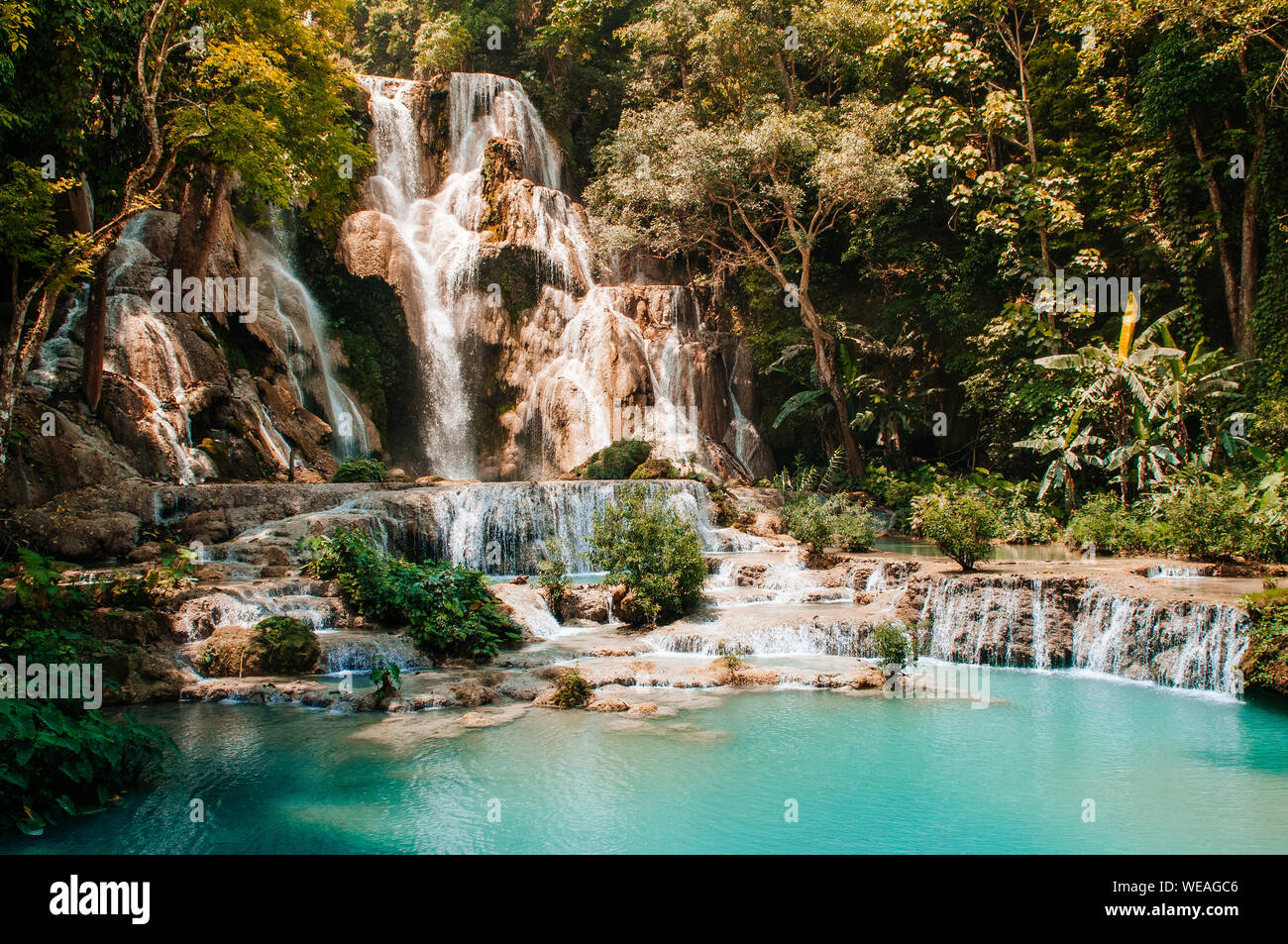 L'étang de l'eau bleue turquoise de Kuang Si parmi les forêts humides à Luang Prabang, Laos, durant la saison estivale. Banque D'Images