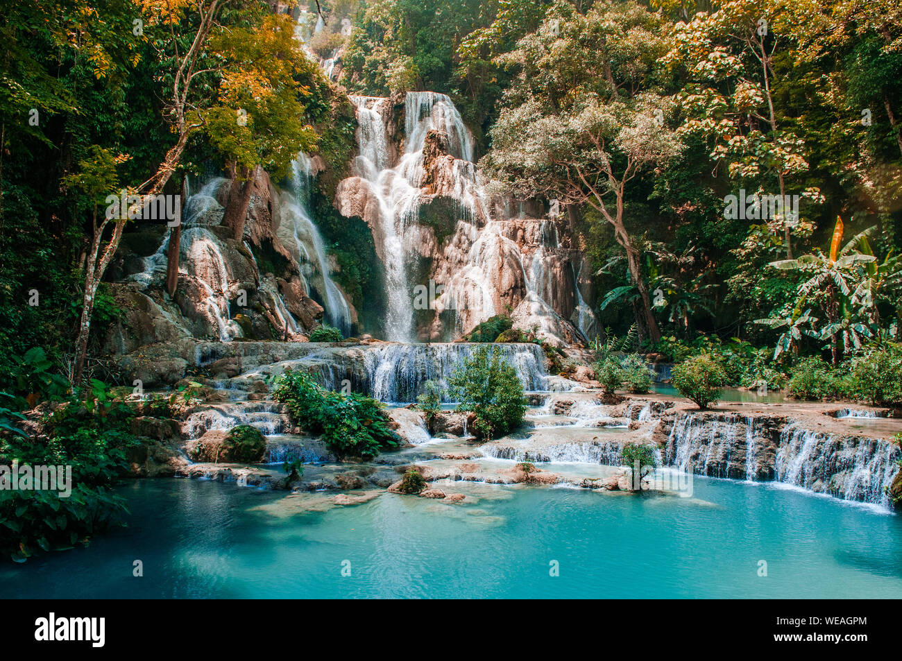 L'étang de l'eau bleue turquoise de Kuang Si parmi les forêts humides à Luang Prabang, Laos, durant la saison estivale. Banque D'Images