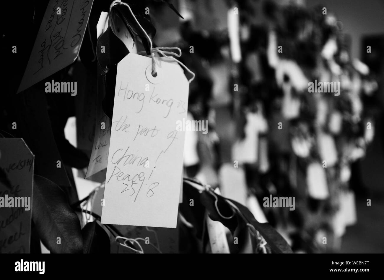 La paix à Hong Kong Chine - message écrit sur le souhait des arbres à Double Fantasy - John & Yoko exposition au Musée de Liverpool, Quayside, UK. Banque D'Images