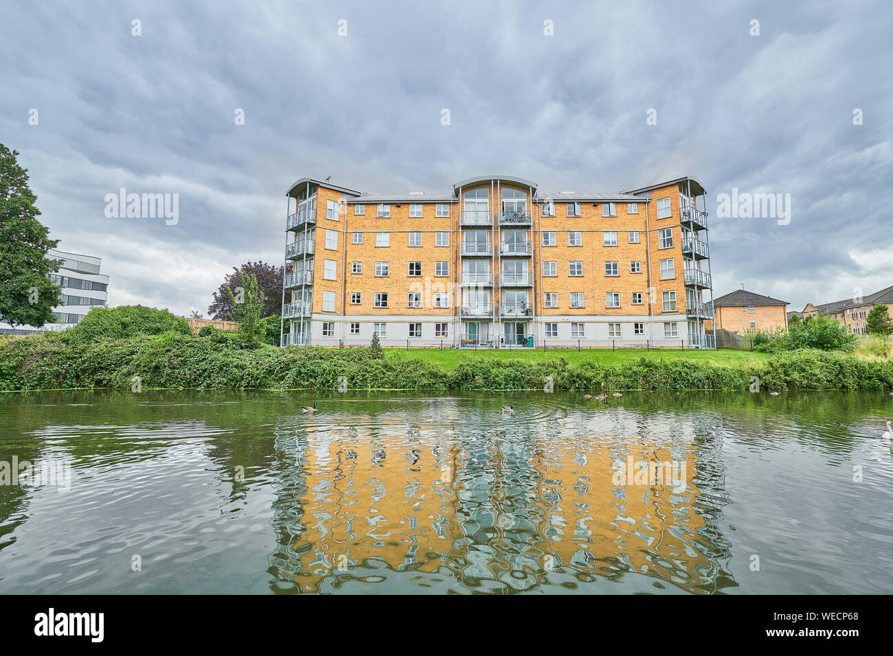 Bloc d'appartements reflète dans la rivière Nene, près du centre-ville de Northampton, en Angleterre. Banque D'Images