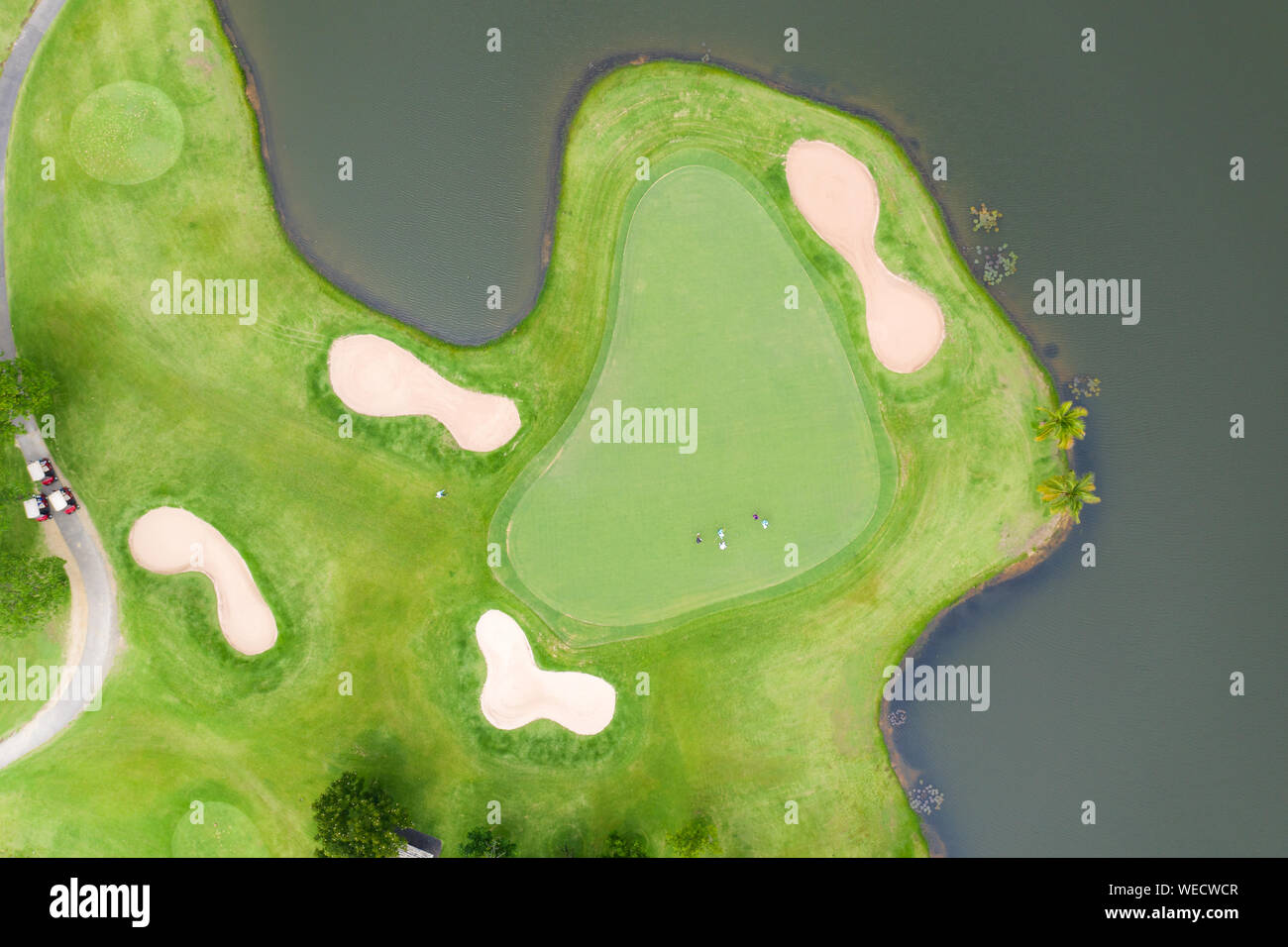 Vue aérienne de joueurs sur un green de golf. Golfeur jouant sur un vert d'un jour d'été. Banque D'Images