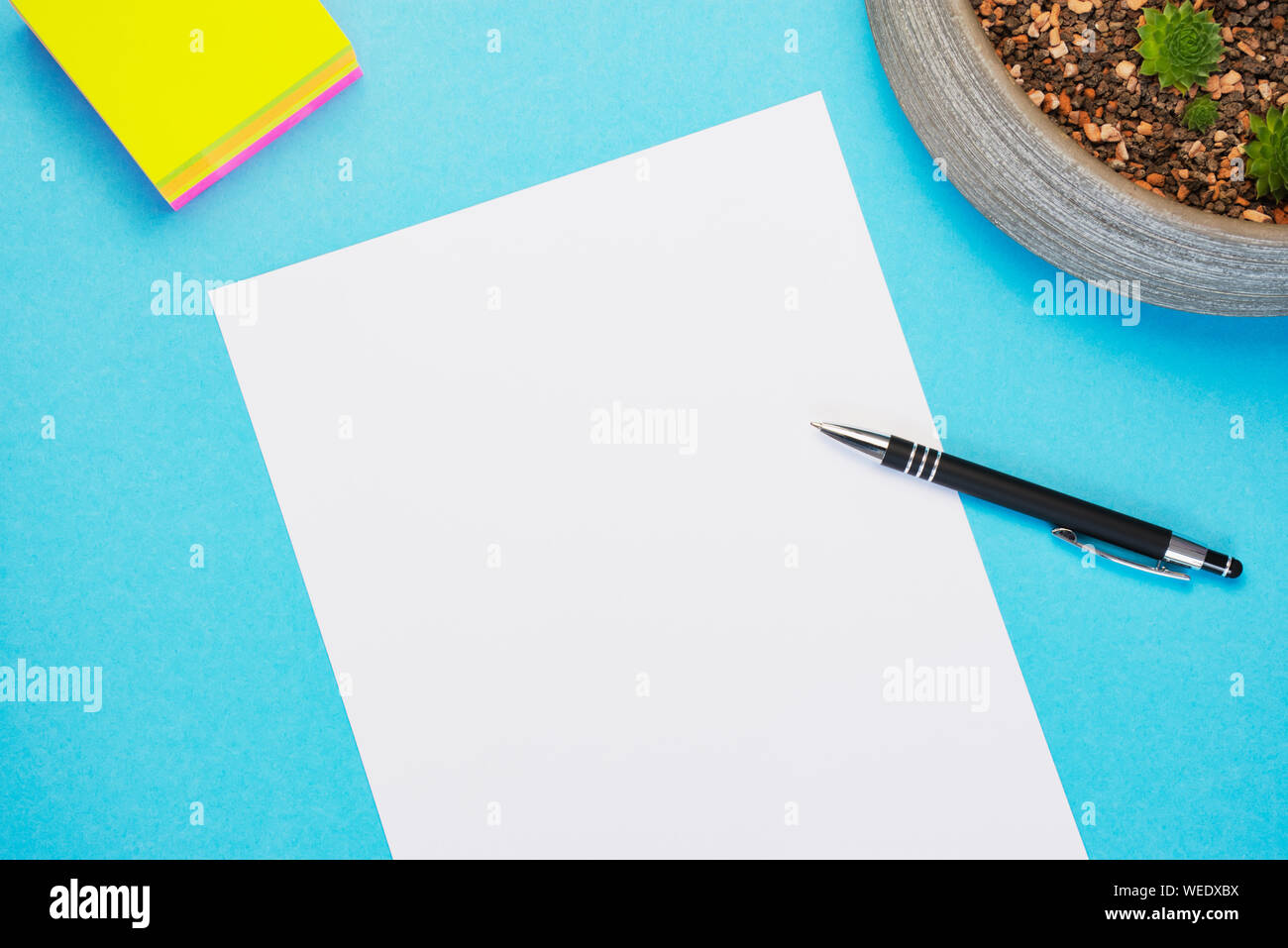 Papier blanc vide avec l'exemplaire de l'espace sur un fond bleu avec un stylo noir, étiquettes adhésives et un succulent plant Banque D'Images