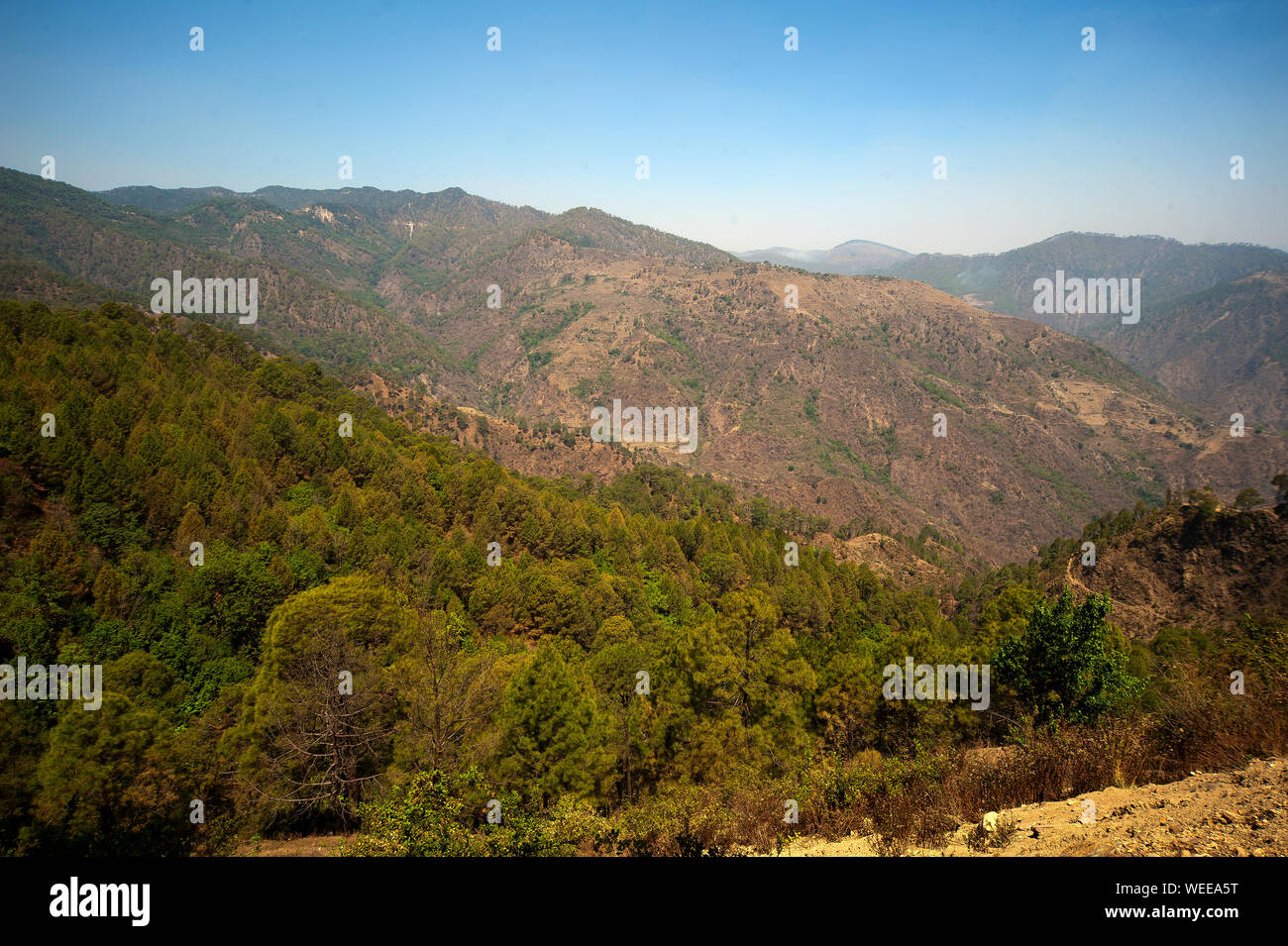 Vallée où le coup de Jim Corbett Tallas Des maneater, décrite par Jim Corbett dans son livre Le Temple des Tigres, Uttarakhand, Inde Banque D'Images