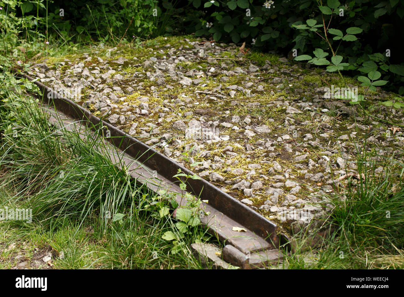 Brinmore Tramroad, partie historique de la Taff Trail dans les Brecon Beacons, Powys, Wales, UK. Banque D'Images