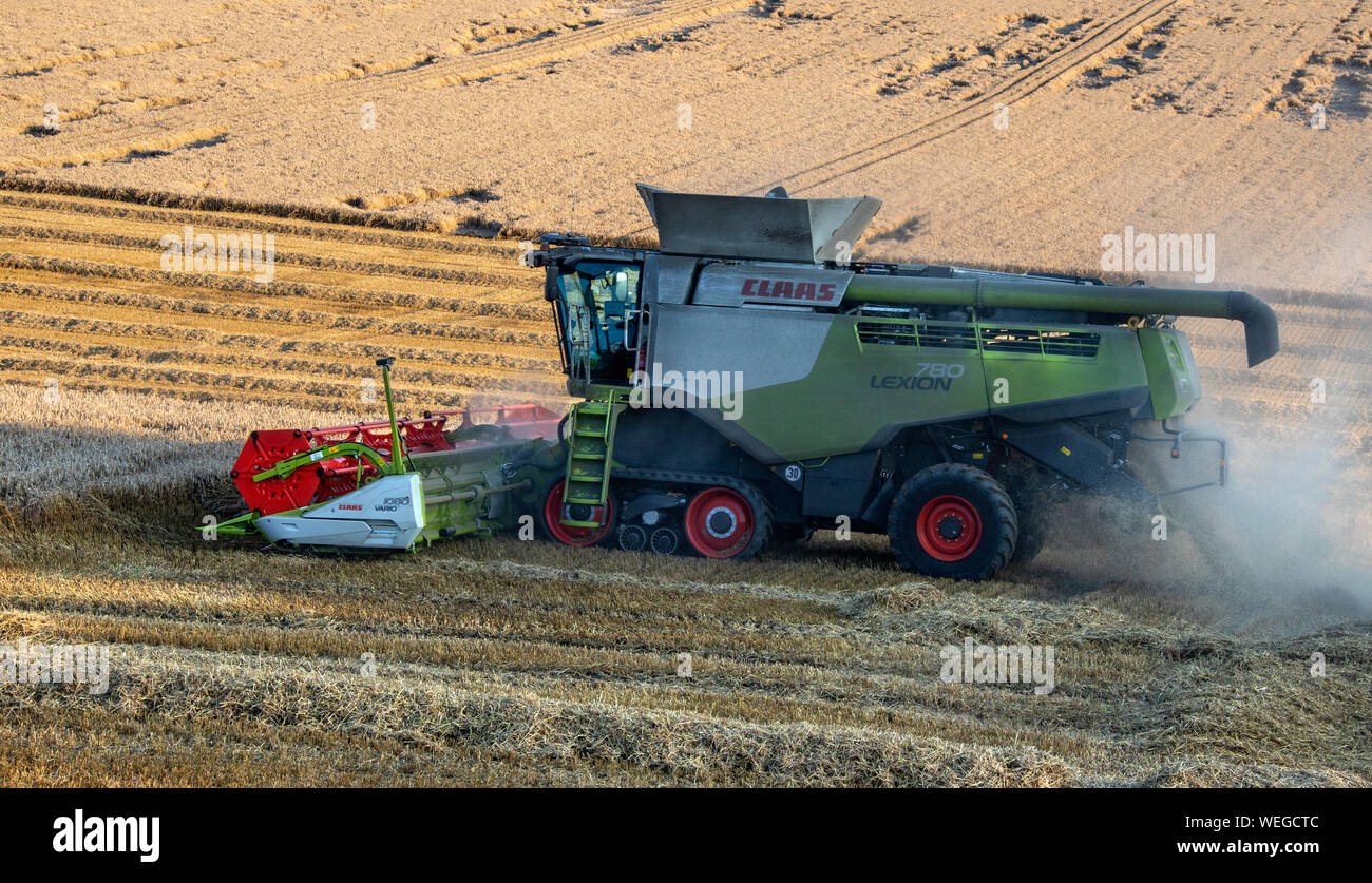 Une moissonneuse-batteuse découpage d'un champ de blé à la ferme dans le North Yorkshire au Royaume-Uni. Banque D'Images