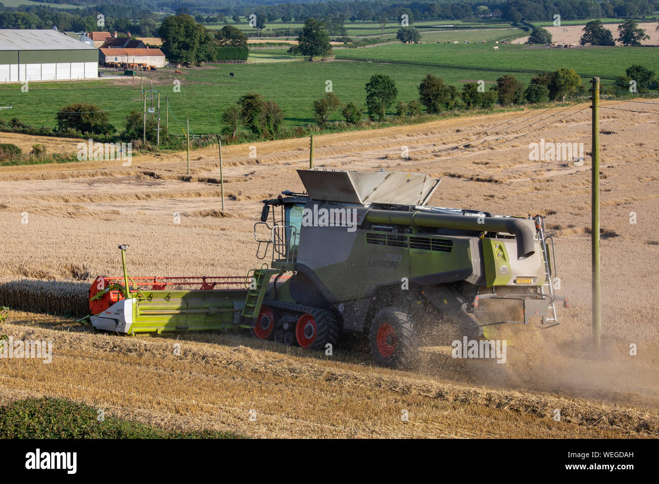 Une moissonneuse-batteuse découpage d'un champ de blé à la ferme dans le North Yorkshire au Royaume-Uni. Banque D'Images