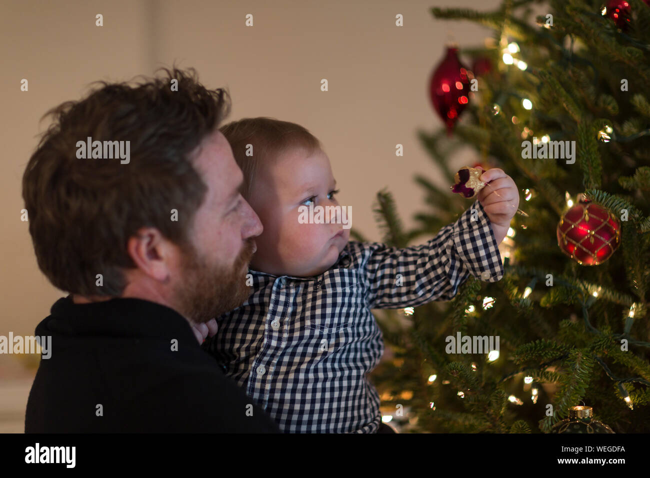 Le père détient 1 ans garçon qui atteint pour la décoration on Christmas Tree Banque D'Images