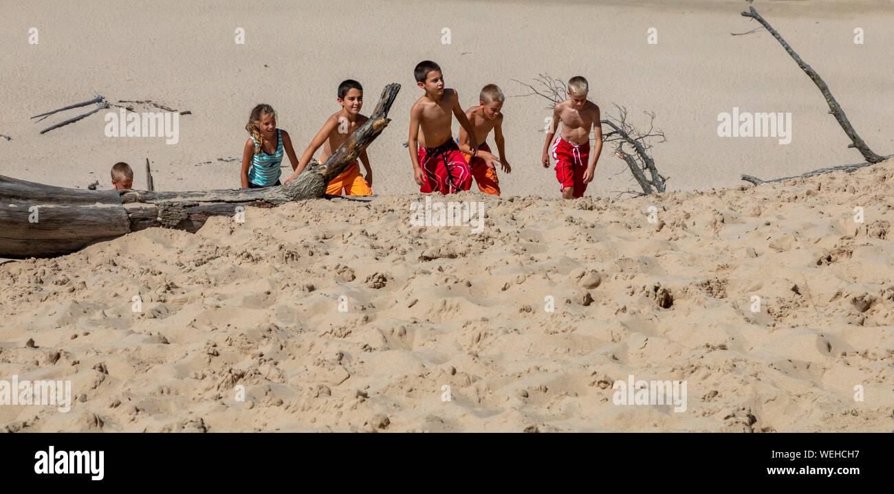 Sawyer, Michigan - Parc d'état de Warren Dunes sur le lac Michigan. Les enfants grimper Tower Hill. À 236 pieds au-dessus du lac, Tower Hill est le plus grand du parc s Banque D'Images