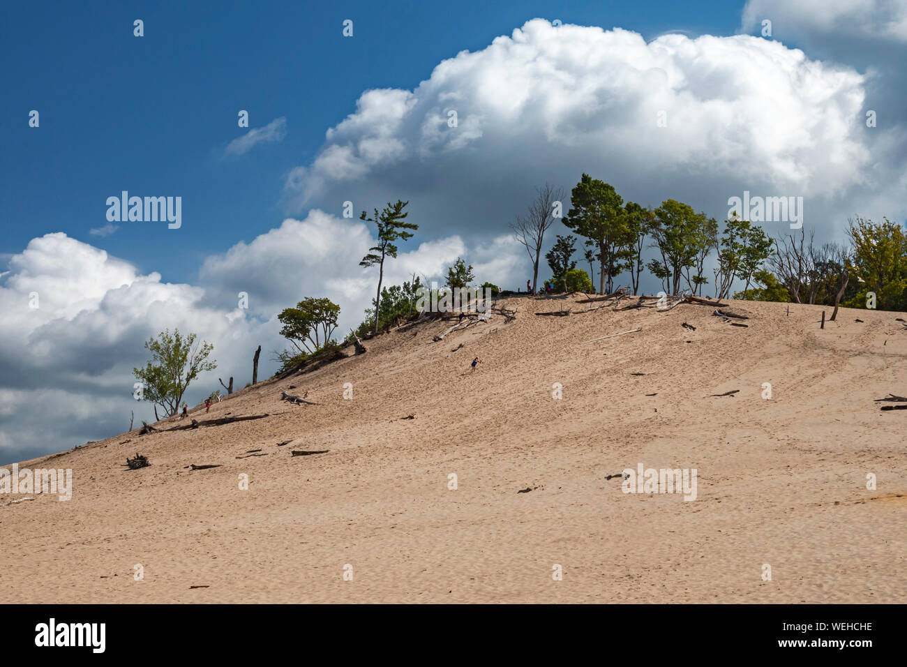 Sawyer, Michigan - Parc d'état de Warren Dunes sur le lac Michigan. Tower Hill, la plus haute dune de sable du parc, s'élève 236 pieds au-dessus du lac. Banque D'Images