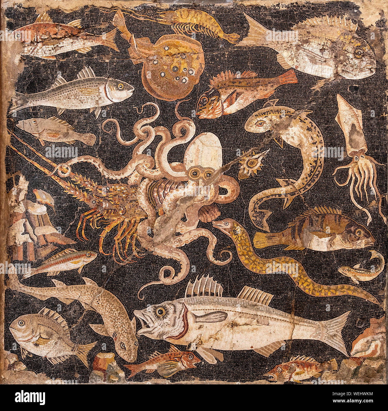 Mosaïque murale romaine de Pompéi représentant la vie marine méditerranéenne, maintenant au Musée Archéologique de Naples. Naples, Italie Banque D'Images
