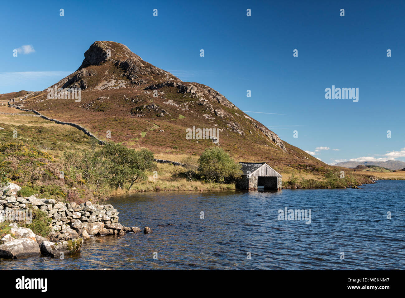 Vue sur le hangar à Cregennan Lacs, sous un ciel bleu clair avec hill 'Pared y Cefn Hir' dans l'arrière-plan. Banque D'Images