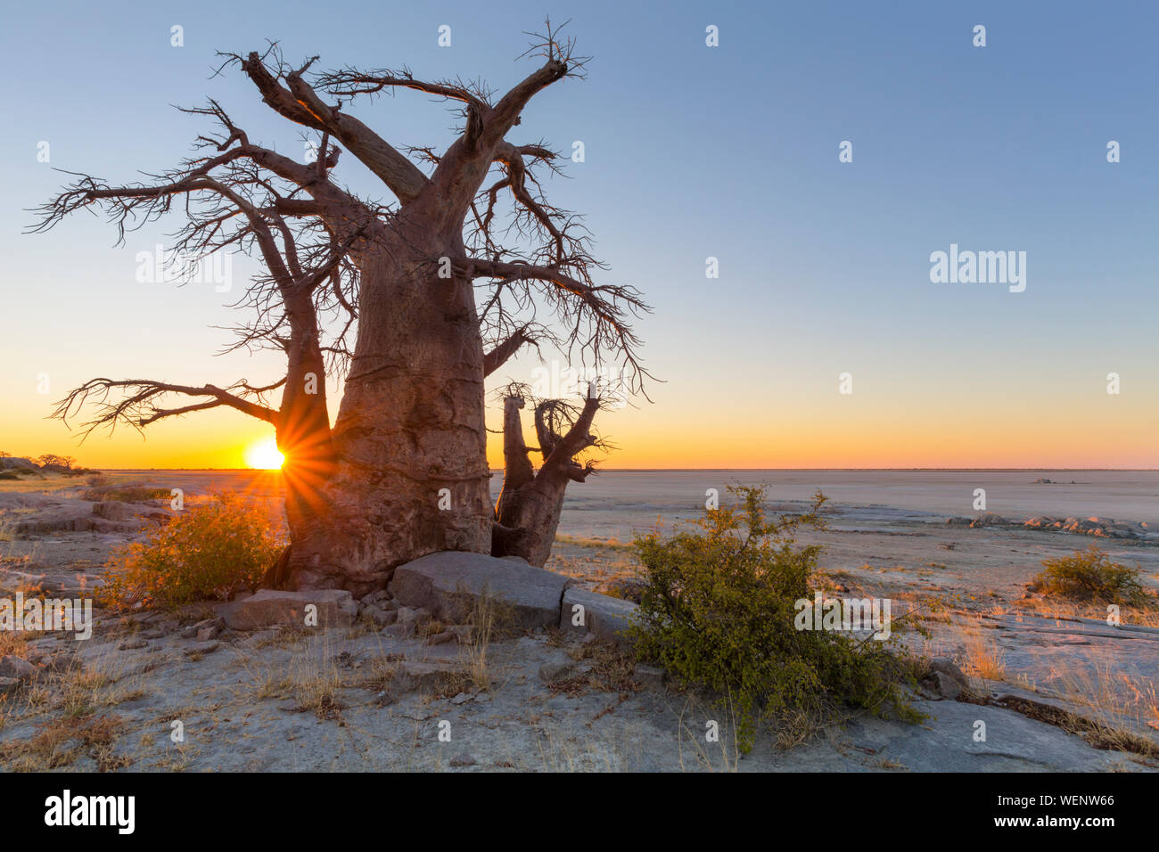 Coucher du soleil à Kubu Island Banque D'Images