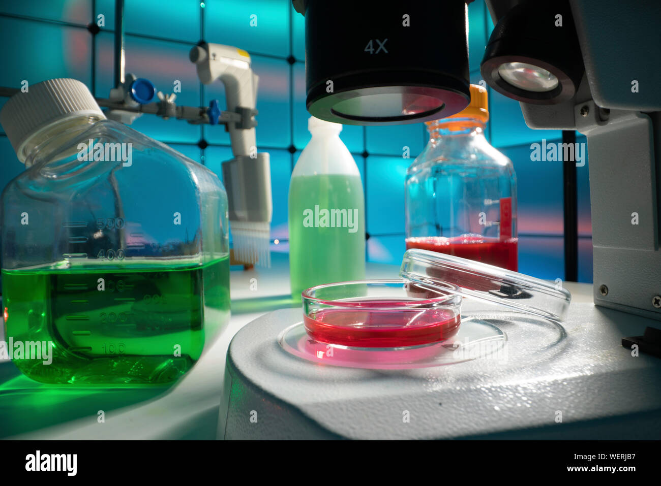 Recherches microbiologiques Banque D'Images