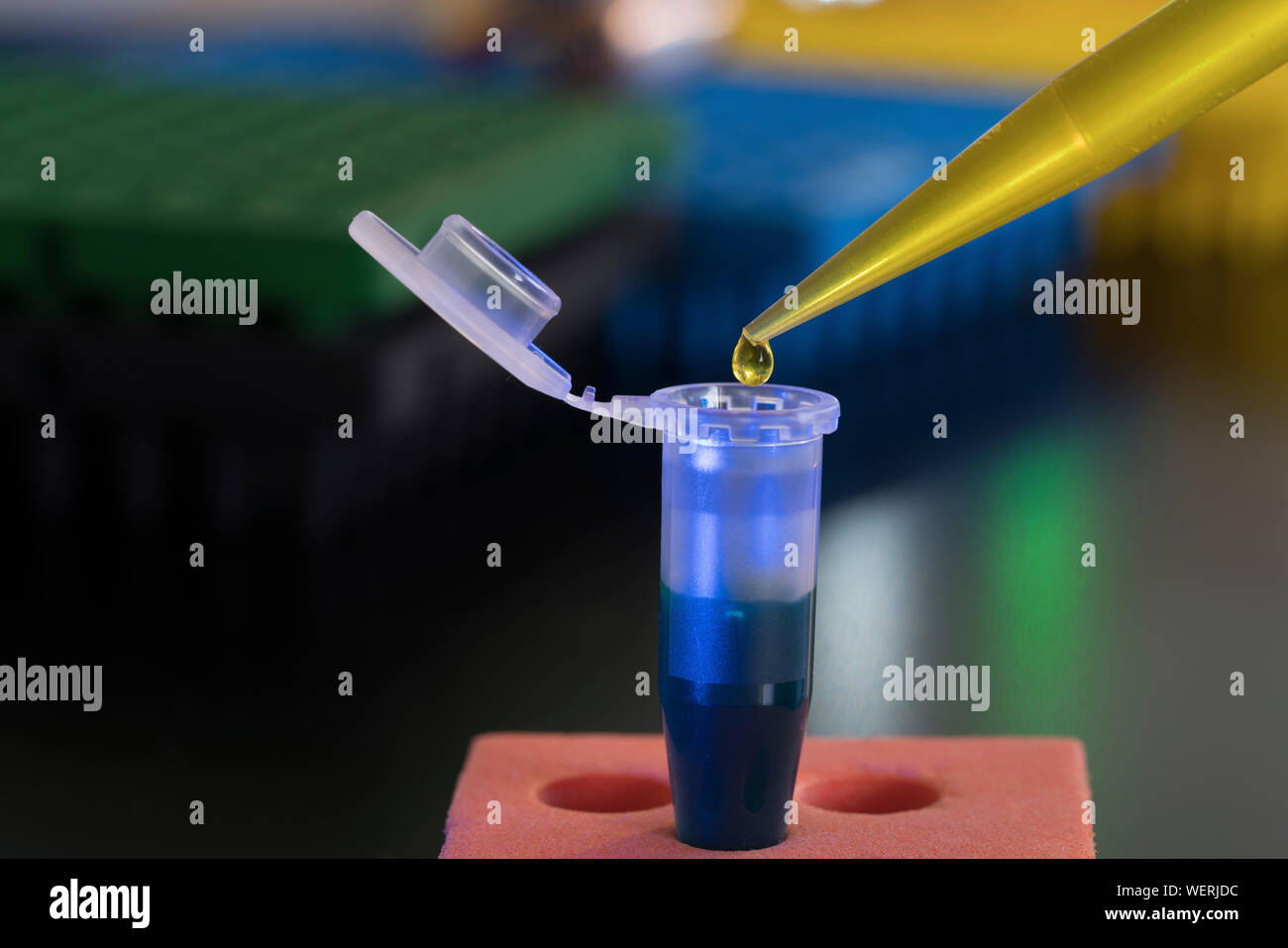 Échantillon de pipetage Banque D'Images